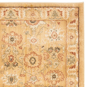 Safavieh Hlm1741 253 Power Loomed Rug