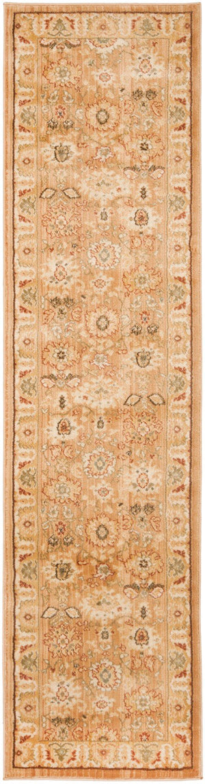 Safavieh Hlm1741 651 Power Loomed Rug
