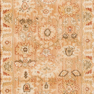Safavieh Hlm1741 651 Power Loomed Rug