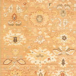 Safavieh Hlm1741 651 Power Loomed Rug