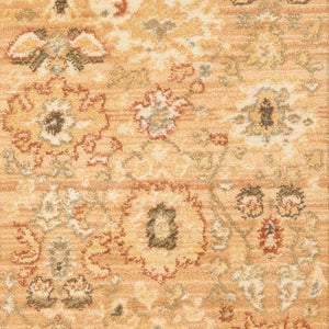 Safavieh Hlm1741 651 Power Loomed Rug