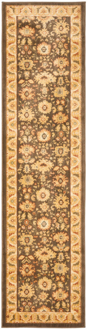 Safavieh Hlm1741 651 Power Loomed Rug