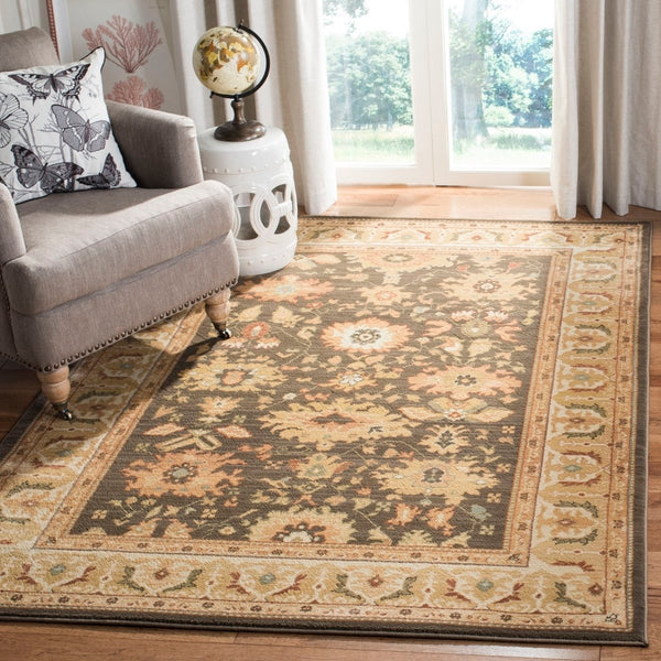 Safavieh Hlm1741 651 Power Loomed Rug