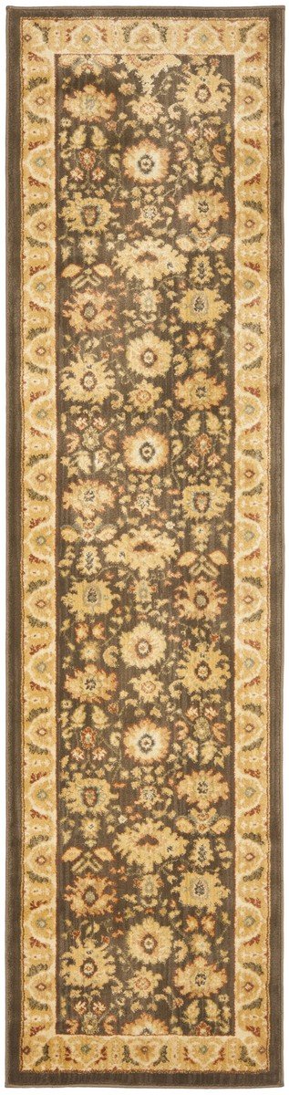 Safavieh Hlm1741 651 Power Loomed Rug
