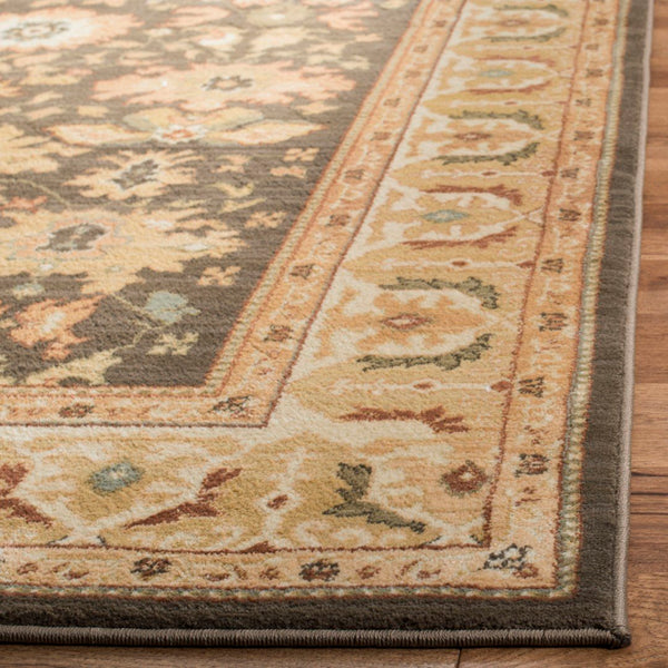 Safavieh Hlm1741 253 Power Loomed Rug
