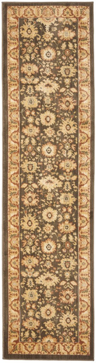 Safavieh Hlm1741 651 Power Loomed Rug