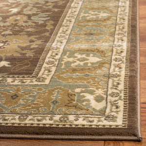 Safavieh Hlm1741 651 Power Loomed Rug