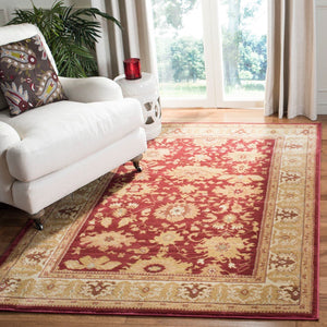 Safavieh Hlm1741 651 Power Loomed Rug