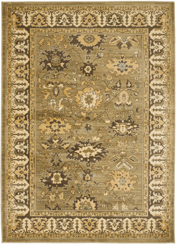 Safavieh Hlm1741 651 Power Loomed Rug