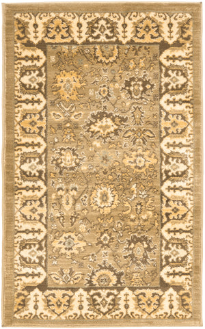 Safavieh Hlm1741 253 Power Loomed Rug