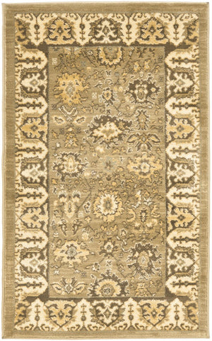 Safavieh Hlm1741 253 Power Loomed Rug