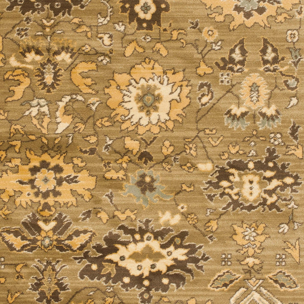 Safavieh Hlm1741 651 Power Loomed Rug