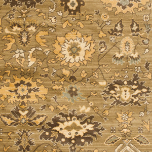 Safavieh Hlm1741 253 Power Loomed Rug