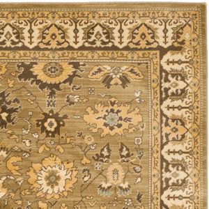 Safavieh Hlm1741 253 Power Loomed Rug