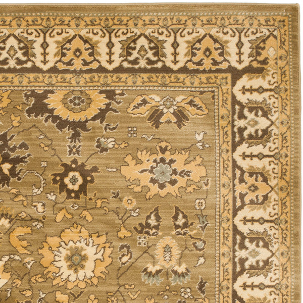 Safavieh Hlm1741 253 Power Loomed Rug
