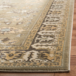 Safavieh Hlm1741 651 Power Loomed Rug