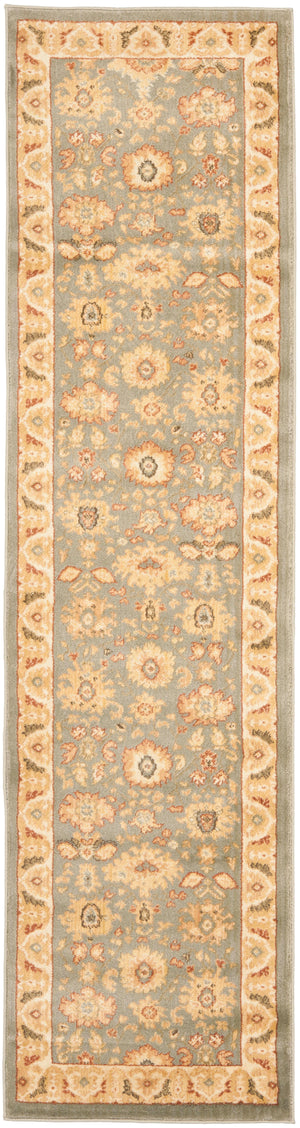 Safavieh Hlm1741 651 Power Loomed Rug