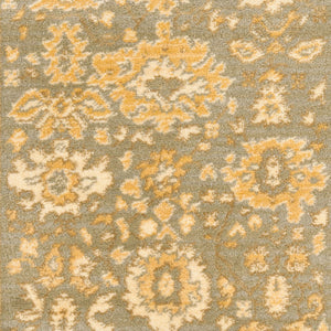 Safavieh Hlm1741 651 Power Loomed Rug