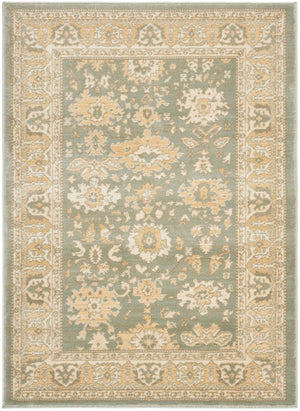 Safavieh Hlm1741 253 Power Loomed Rug
