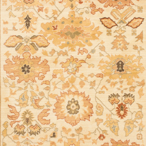 Safavieh Hlm1741 651 Power Loomed Rug