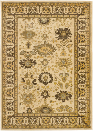 Safavieh Hlm1741 651 Power Loomed Rug