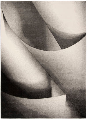 Safavieh Hollywood HLW716 Power Loomed Rug