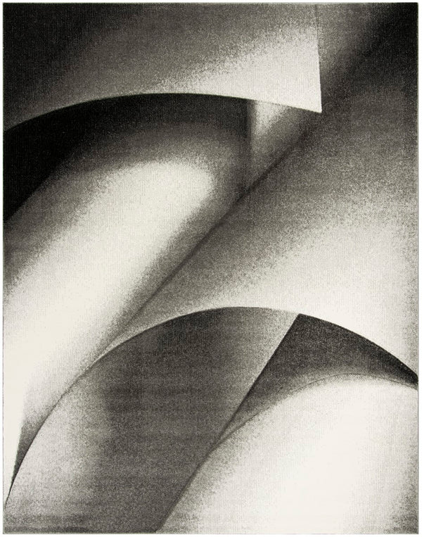 Safavieh Hollywood HLW716 Power Loomed Rug