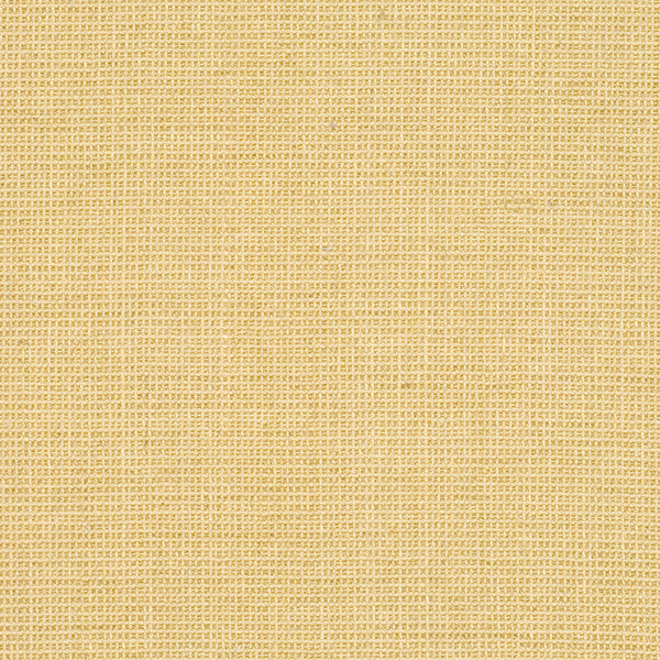 Safavieh HN555 Power Loomed Rug