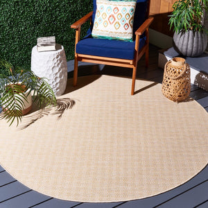 Safavieh Hampton 230 Power Loomed 100% Polypropylene Indoor/Outdoor Rug HTN230C-9