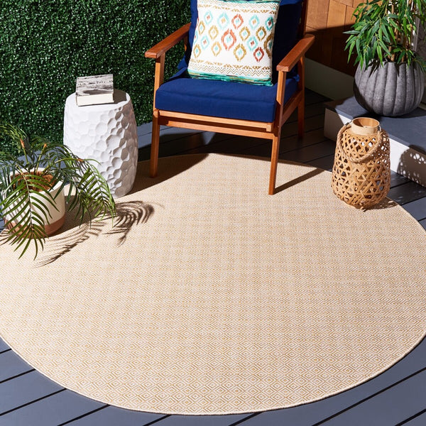 Safavieh Hampton 230 Power Loomed 100% Polypropylene Indoor/Outdoor Rug HTN230C-9