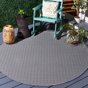 Safavieh Hampton 230 Power Loomed 100% Polypropylene Indoor/Outdoor Rug HTN230G-9