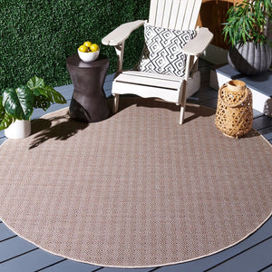 Safavieh Hampton 230 Power Loomed 100% Polypropylene Indoor/Outdoor Rug HTN230T-9