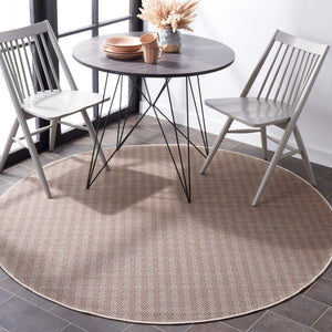 Safavieh Hampton 230 Power Loomed 100% Polypropylene Indoor/Outdoor Rug HTN230T-9