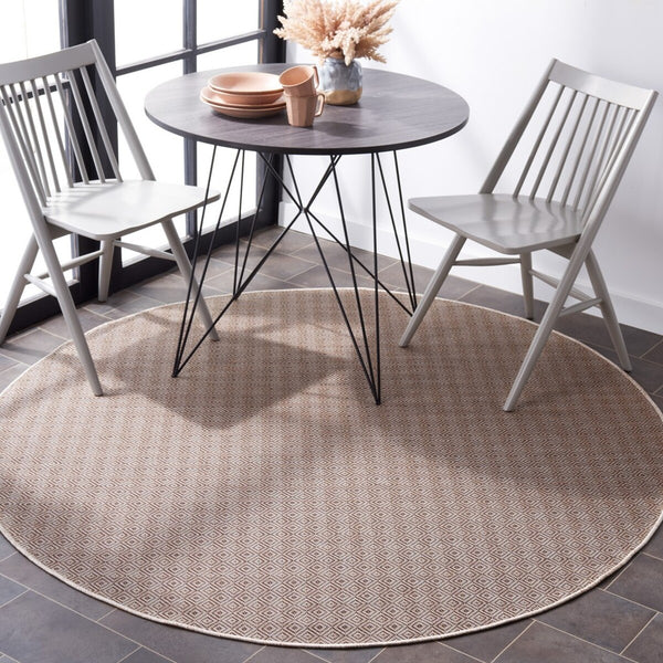 Safavieh Hampton 230 Power Loomed 100% Polypropylene Indoor/Outdoor Rug HTN230T-9