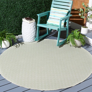 Safavieh Hampton 230 Power Loomed 100% Polypropylene Indoor/Outdoor Rug HTN230Y-9