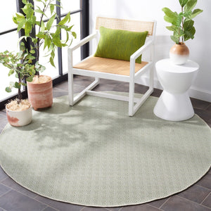 Safavieh Hampton 230 Power Loomed 100% Polypropylene Indoor/Outdoor Rug HTN230Y-9