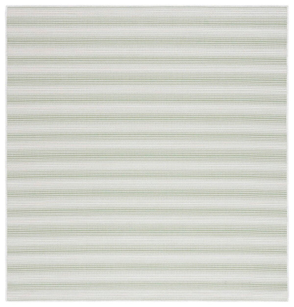 Safavieh Hampton 231 Power Loomed 100% Polypropylene Indoor/Outdoor Rug HTN231W-9