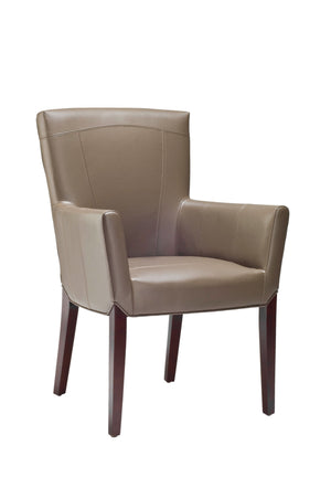 Safavieh Ken Arm Chair Leather Clay Cherry Mahogany Wood Birch Bicast HUD8201B 683726643005