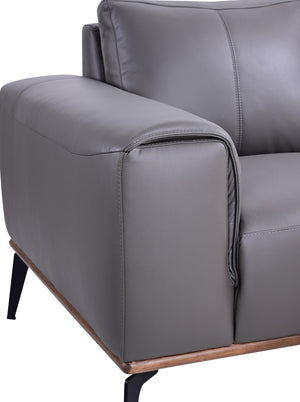 Porter Designs Pietro Top Grain Leather Contemporary Sofa Gray 02-204C-01-2110