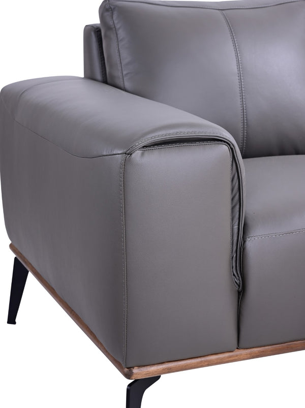 Porter Designs Pietro Top Grain Leather Contemporary Sofa Gray 02-204C-01-2110