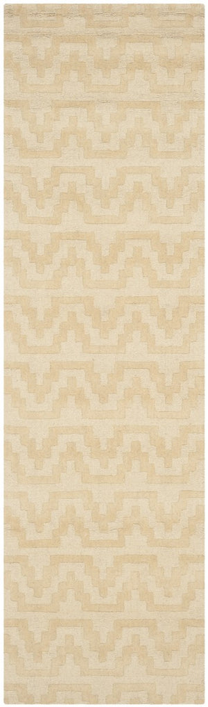 Safavieh Isaac IMR501 Hand Tufted Rug
