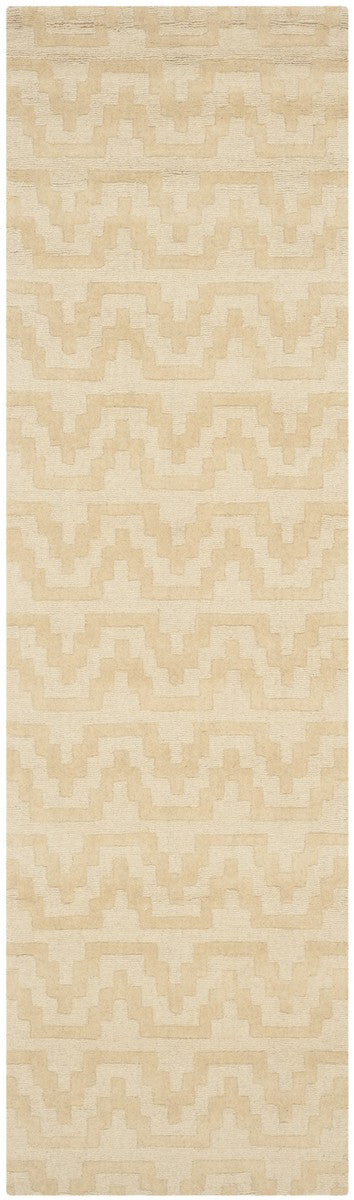 Safavieh Isaac IMR501 Hand Tufted Rug