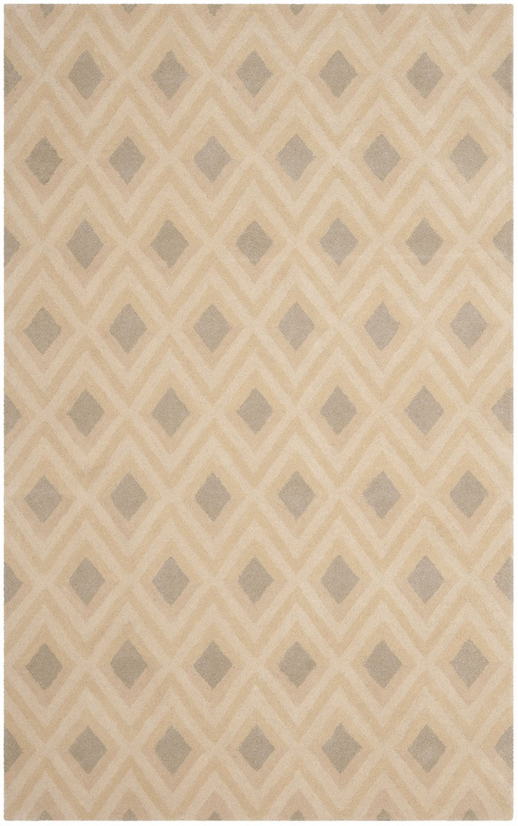 Safavieh Isaac IMR503 Hand Tufted Rug
