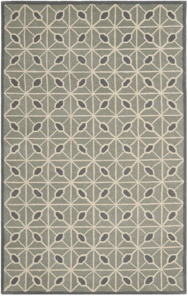 Safavieh Isaac IMR506 Hand Tufted Rug