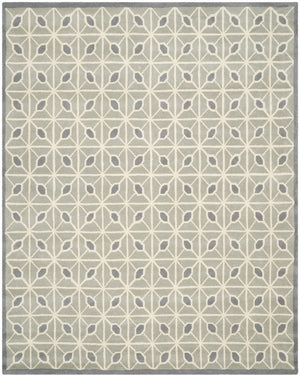 Safavieh Isaac IMR506 Hand Tufted Rug