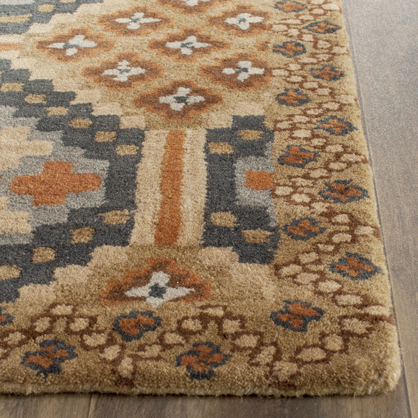 Safavieh Isaac IMR509 Hand Tufted Rug