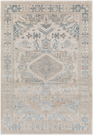 Surya Impulse Traditional IPS-2307 Rug IPS2307-81012