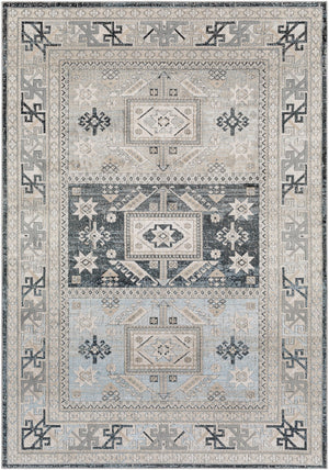 Surya Impulse Traditional IPS-2315 Rug IPS2315-81012