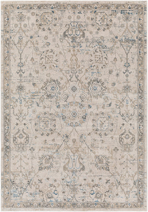 Surya Impulse Traditional IPS-2318 Rug IPS2318-81012