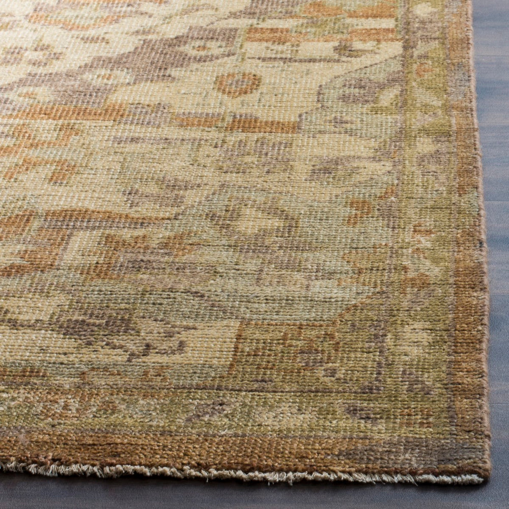 Safavieh Izmir IZM178 Hand Knotted Rug